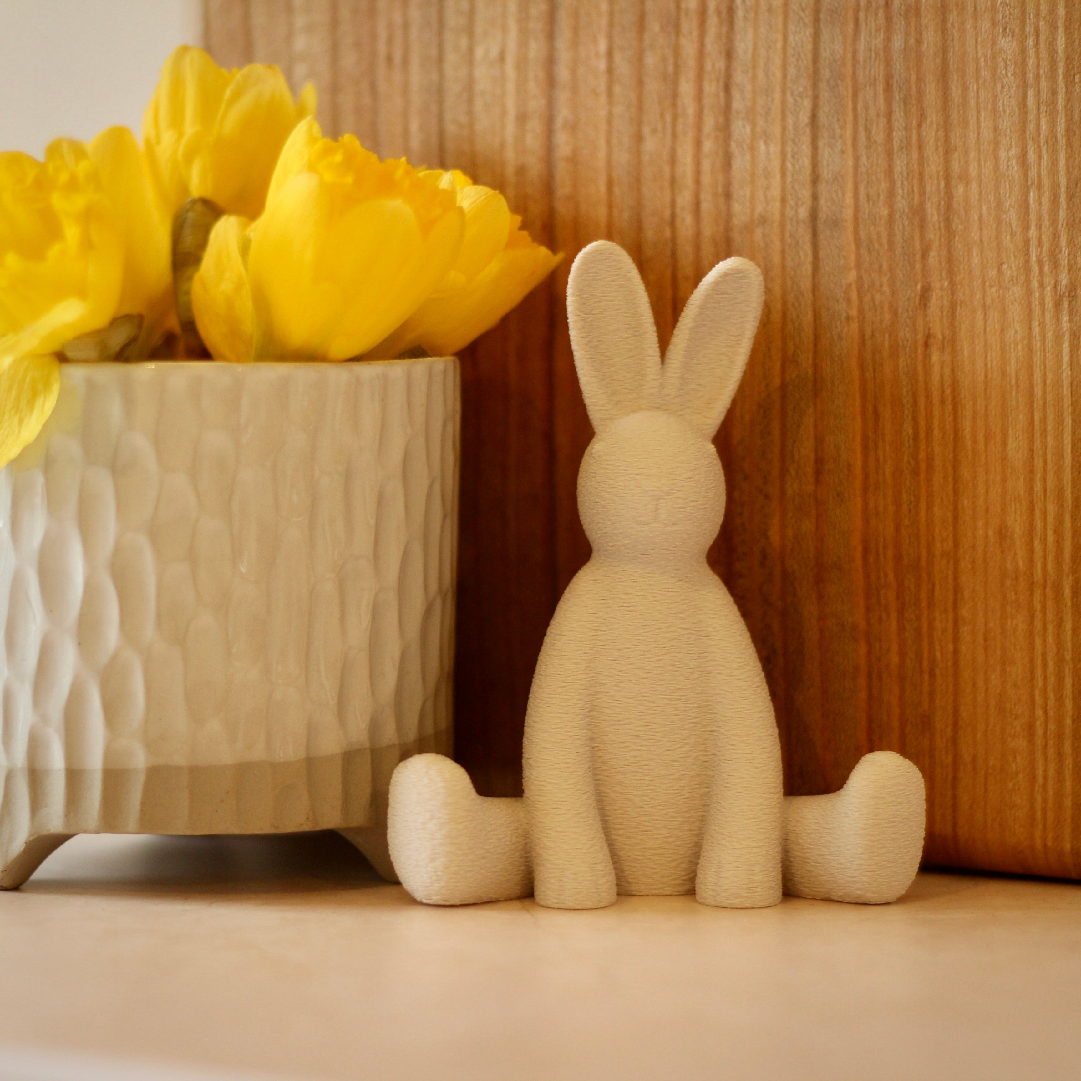 The Willows Sitting Bunny