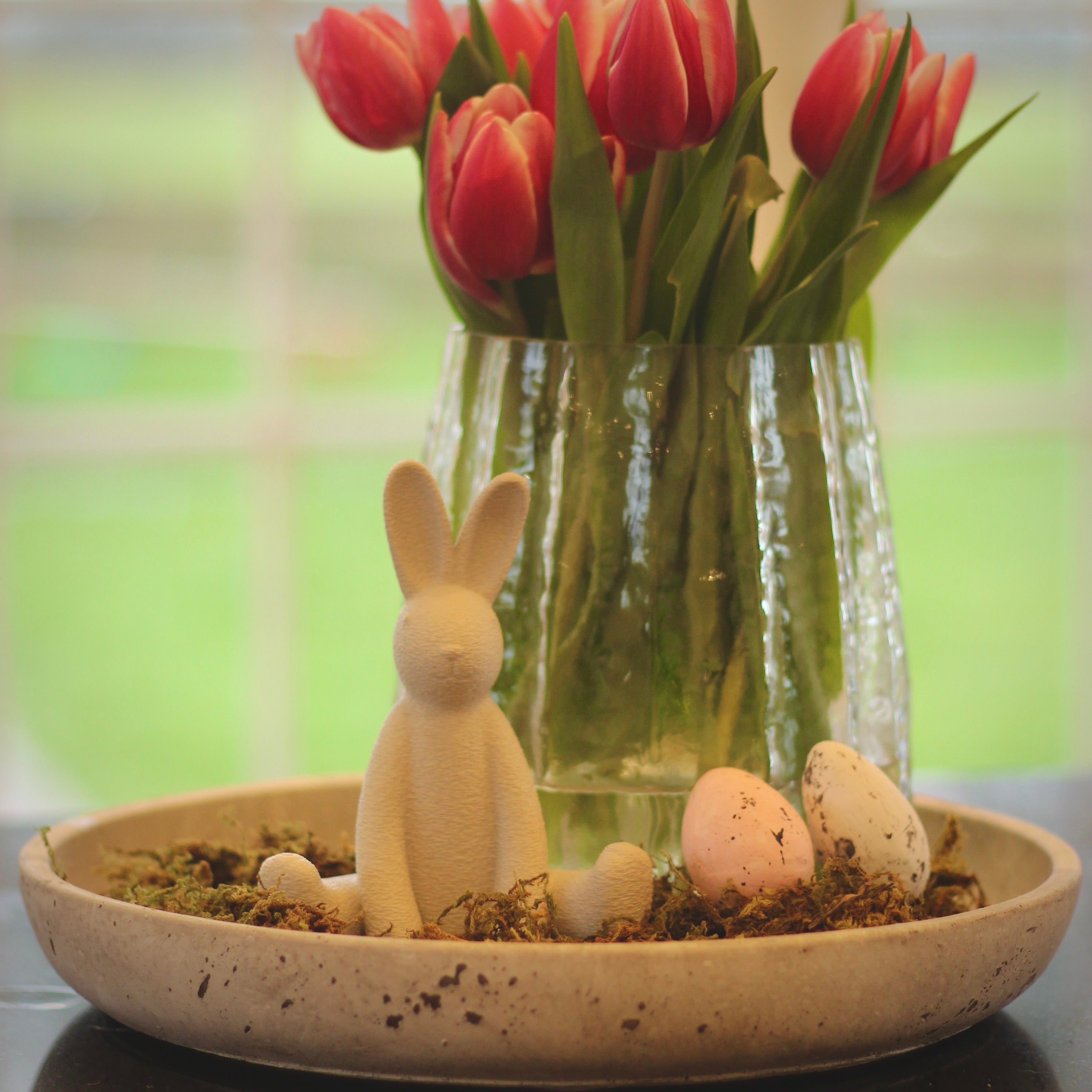 The Willows Sitting Bunny