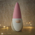 The Nordic Gnome