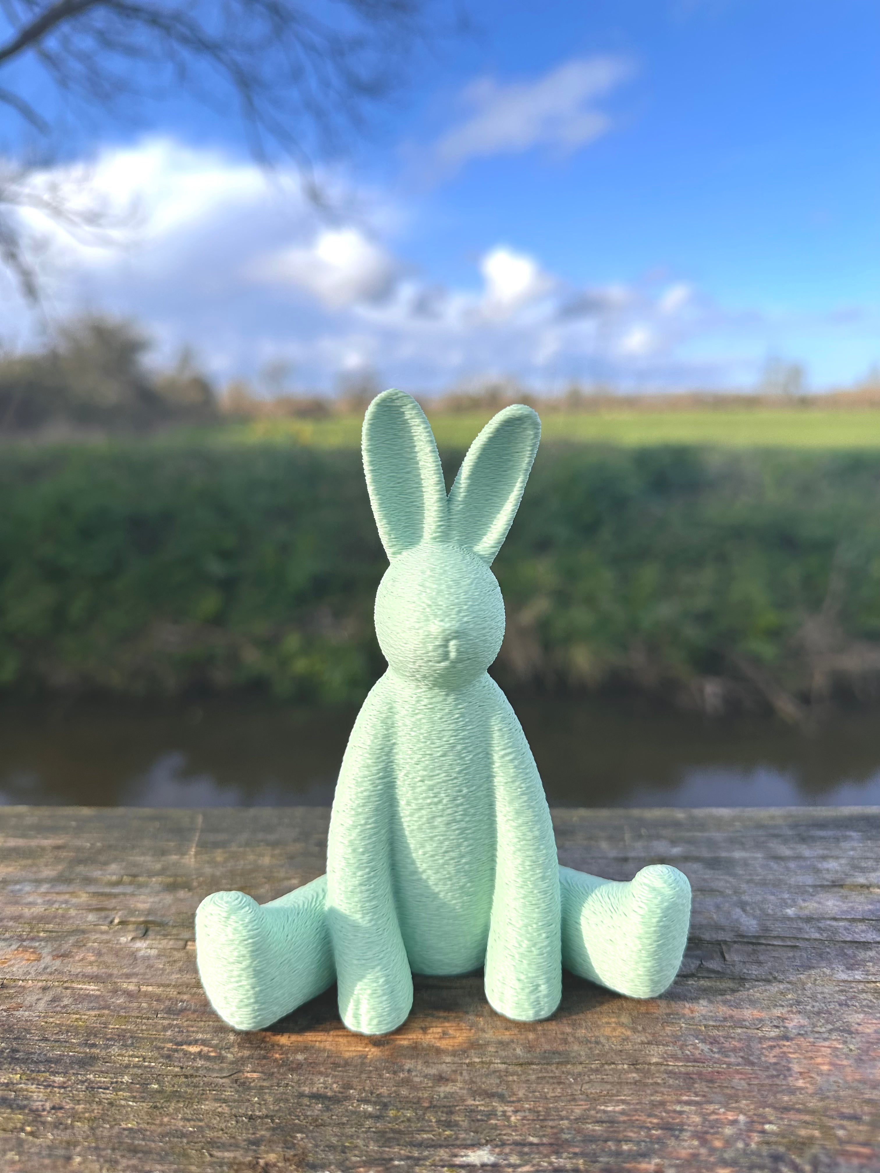 The Willows Sitting Bunny