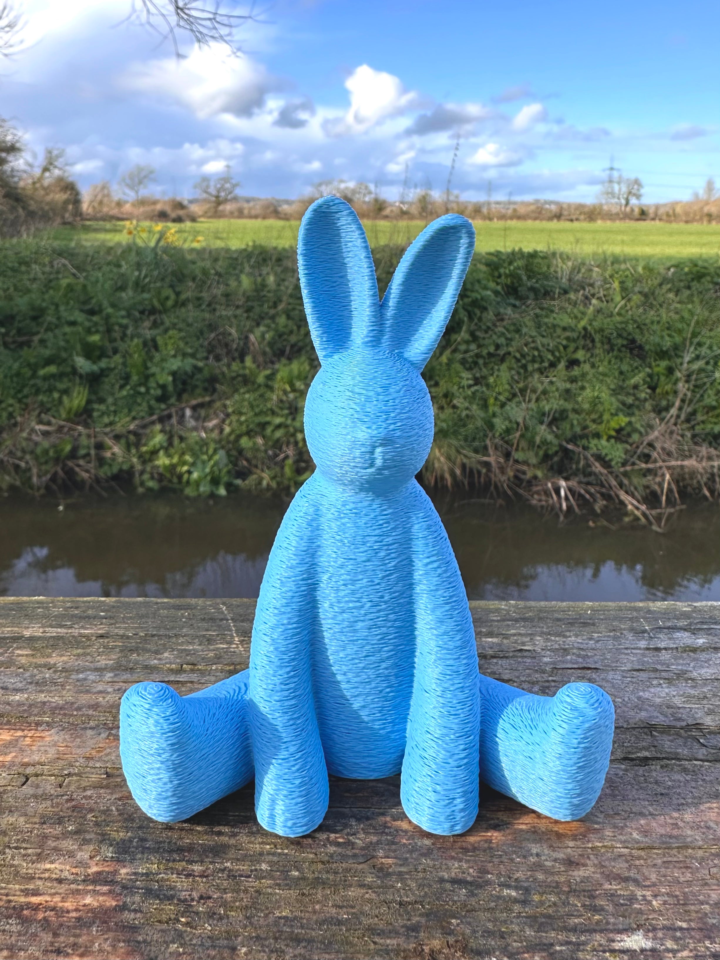 The Willows Sitting Bunny